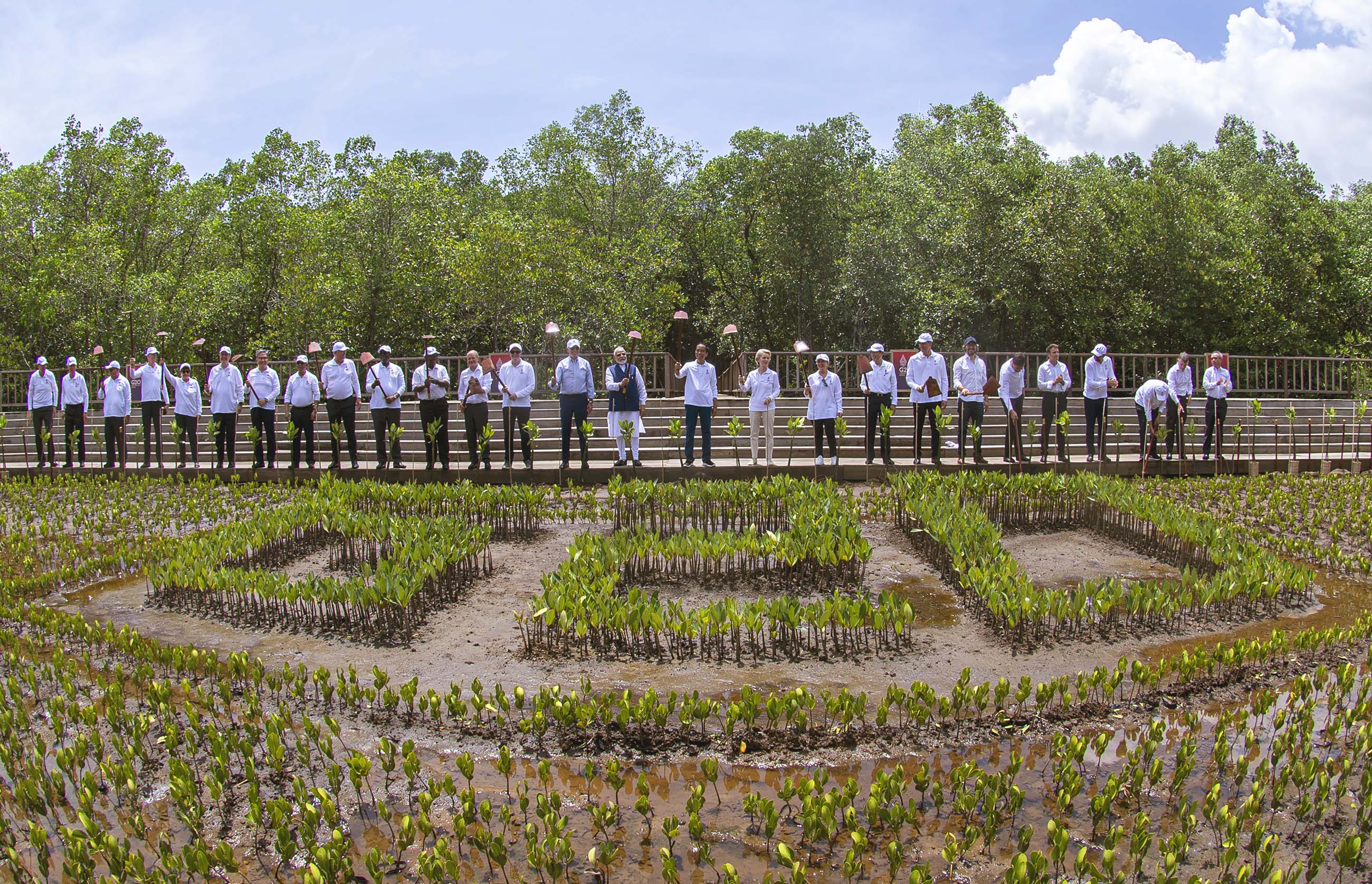 Prime Minister Kishida visiting a mangrove forest (2) (Photo credit: Host Photo Agency G20)