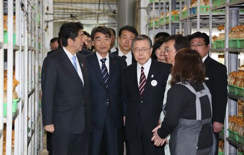 Photograph of the Prime Minister observing a <i>nameko</i> cultivating farm