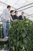 Photograph of the Prime Minister visiting the agricultural facility (2)