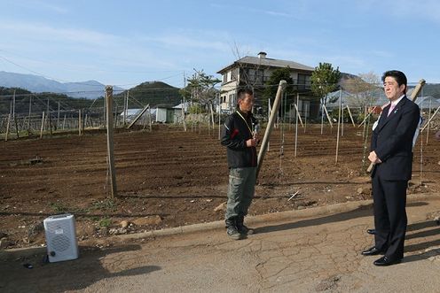 Photograph of the inspection of the status of the damage and restoration of the grape orchard that was affected by the heavy snowfall