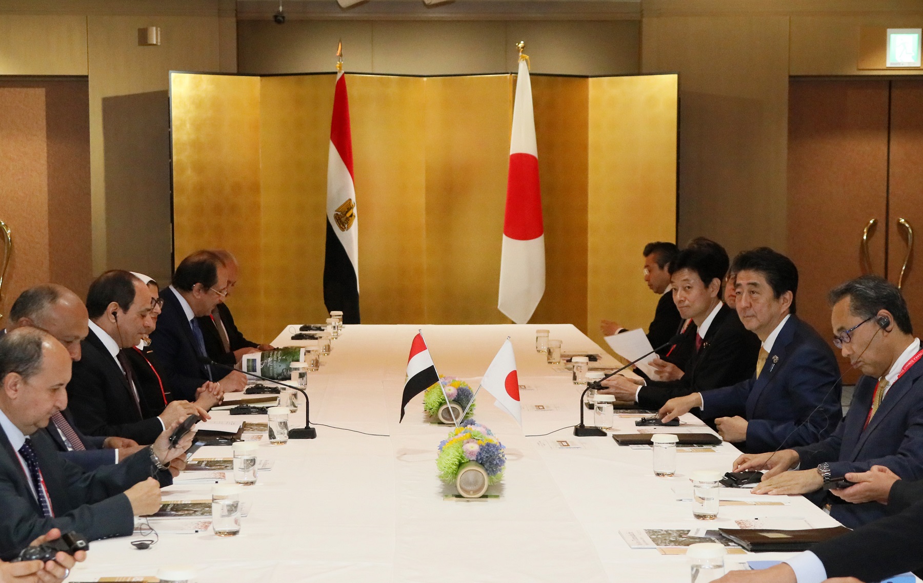 Photograph of the Japan-Egypt Summit Meeting (3)