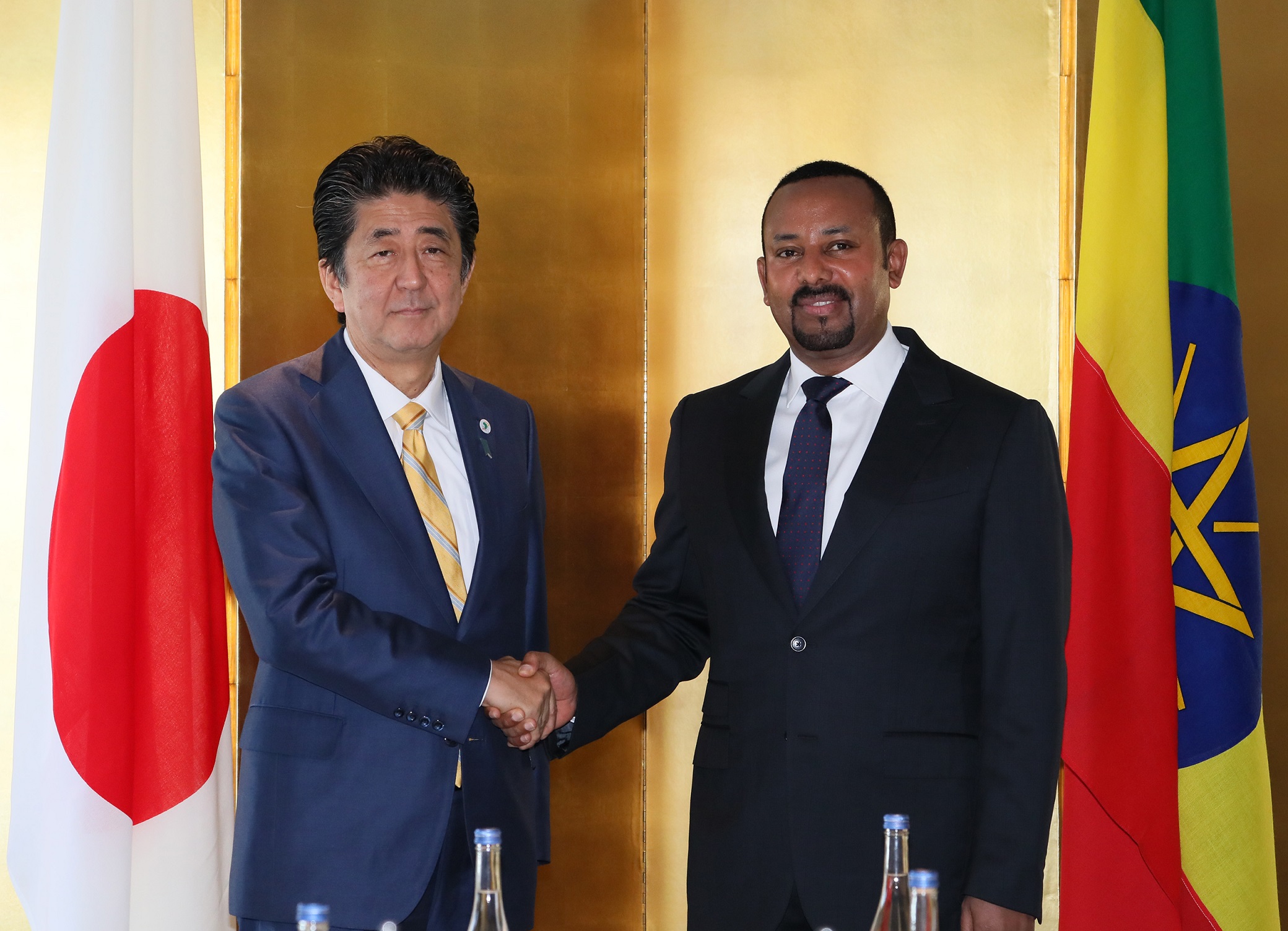 Photograph of the Japan-Ethiopia Summit Meeting