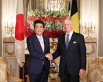 Photograph of the meeting with the King of the Belgians (1)