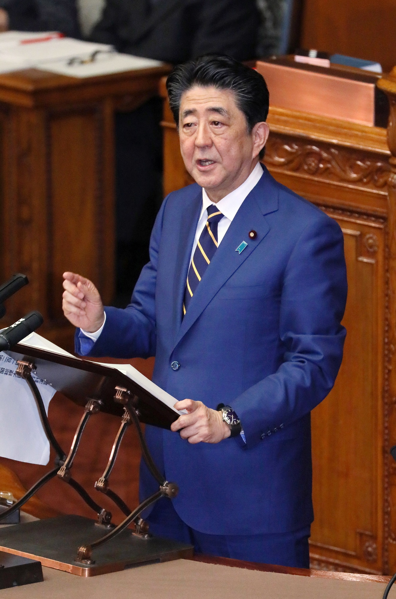 Photograph of the Prime Minister delivering a policy speech during the plenary session of the House of Councillors (8)