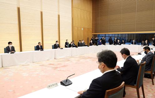 Photograph of the Prime Minister making a statement (6)