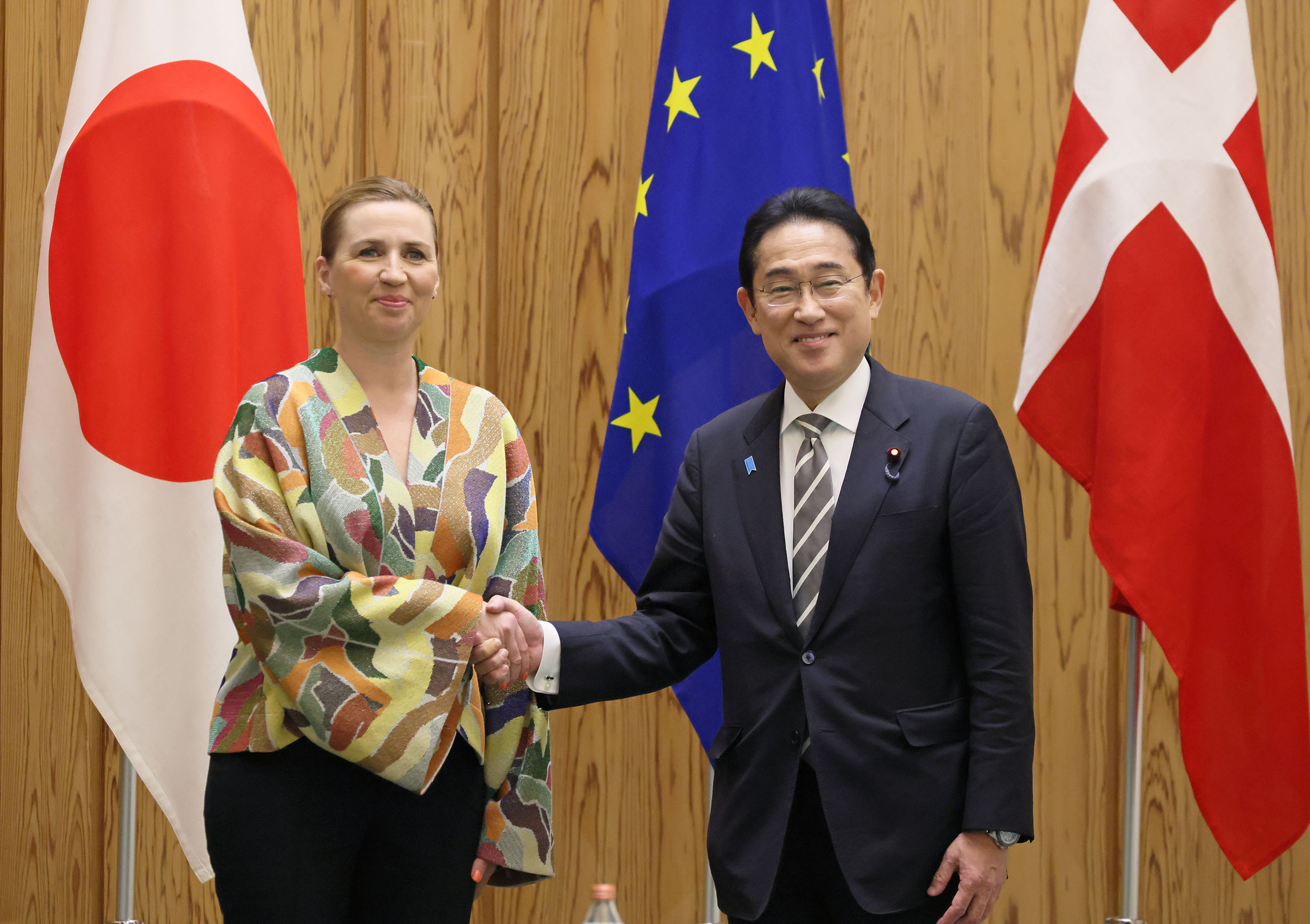 Japan-Denmark Summit Meeting (1)
