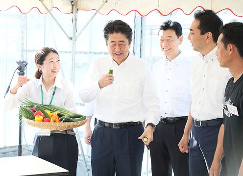 Photograph of the Prime Minister tasting garlic chive and other produce