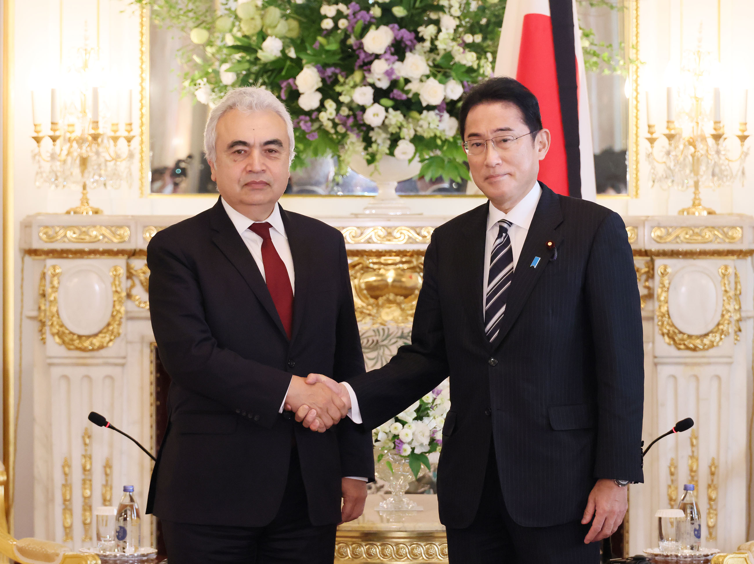 Photograph of the Prime Minister receiving a courtesy call from IEA Executive Director Birol (1)