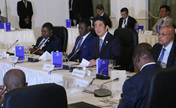 Photograph of the working dinner hosted by Prime Minister Abe (with countries from southern and central Africa) (1)