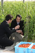 Photograph of the Prime Minister observing a vegetable field 1