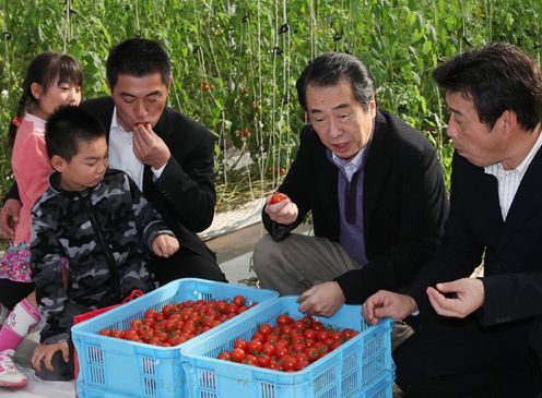 Photograph of the Prime Minister observing a vegetable field 2