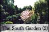 The South Garden (2)