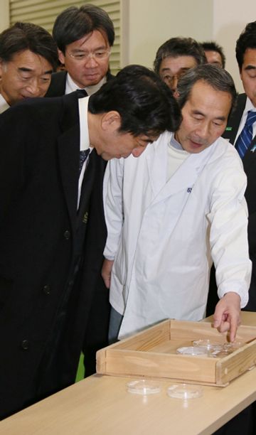 Photograph of the Prime Minister observing a sake-brewing factory