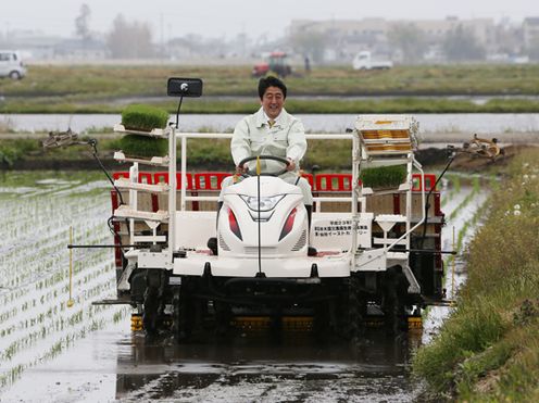 Photograph of the Prime Minister planting rice in the Sendai Higashi area