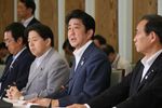 Photograph of Prime Minister Abe giving instructions at the Headquarters on Creating Dynamism through Agriculture, Forestry and Fishery Industries and Local Communities (1)