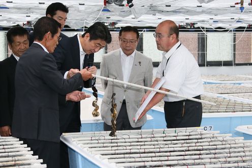 Photograph of the Prime Minister inspecting seaweed cultivation