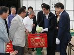 Photograph of the Prime Minister packing heads of cabbage into boxes