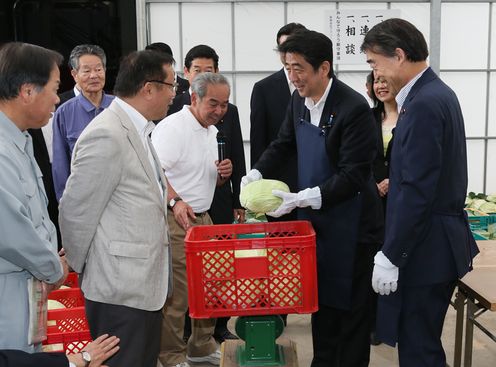 Photograph of the Prime Minister packing heads of cabbage into boxes