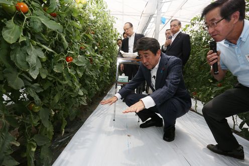 Photograph of the Prime Minister receiving an explanation about soil improvement