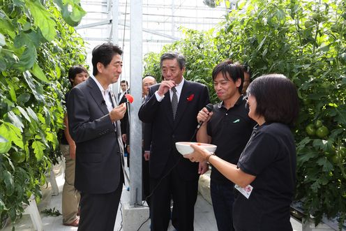 Photograph of the Prime Minister tasting tomatoes at a tomato greenhouse at an agricultural production corporation