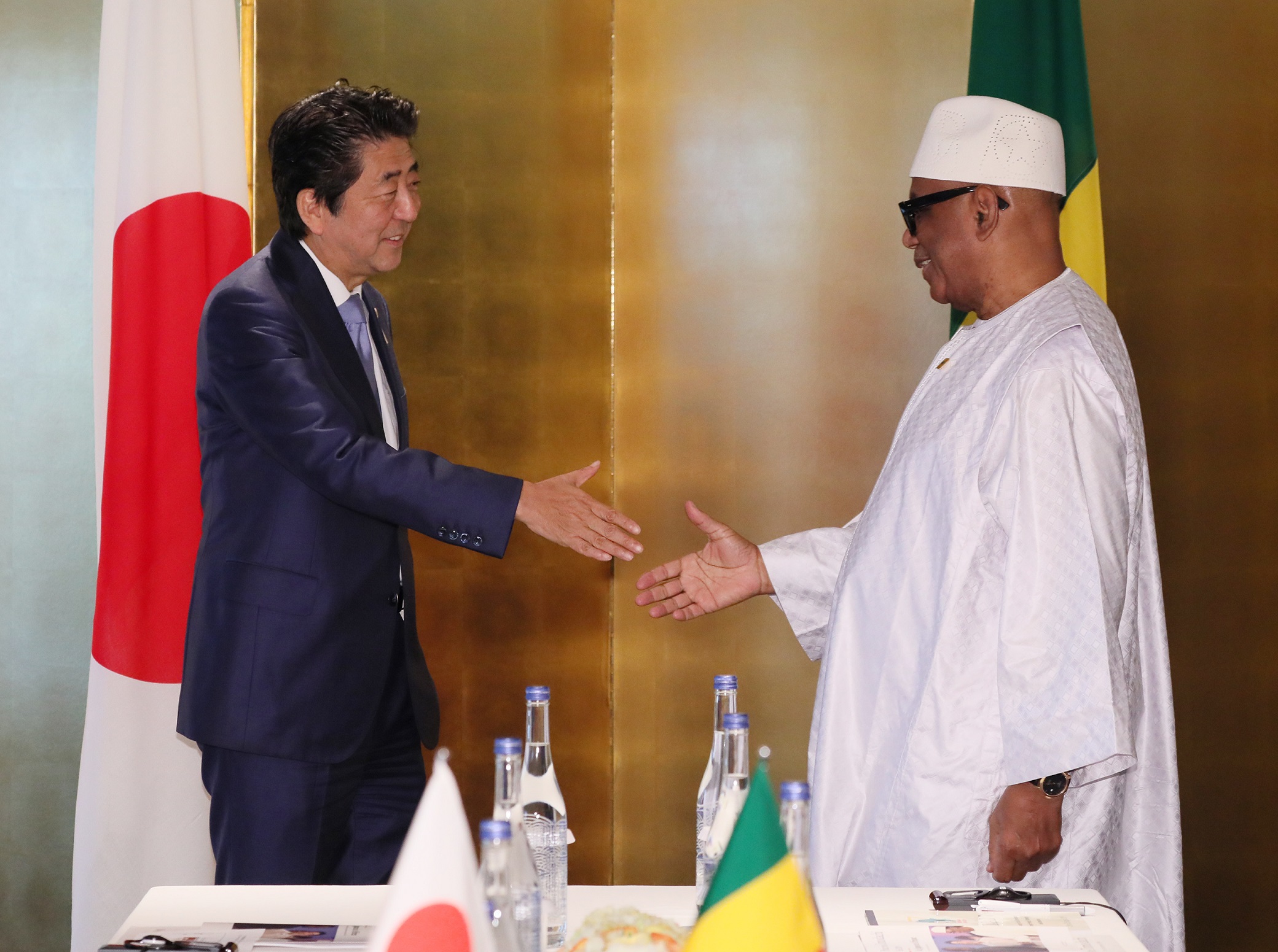 Photograph of the Japan-Mali Summit Meeting