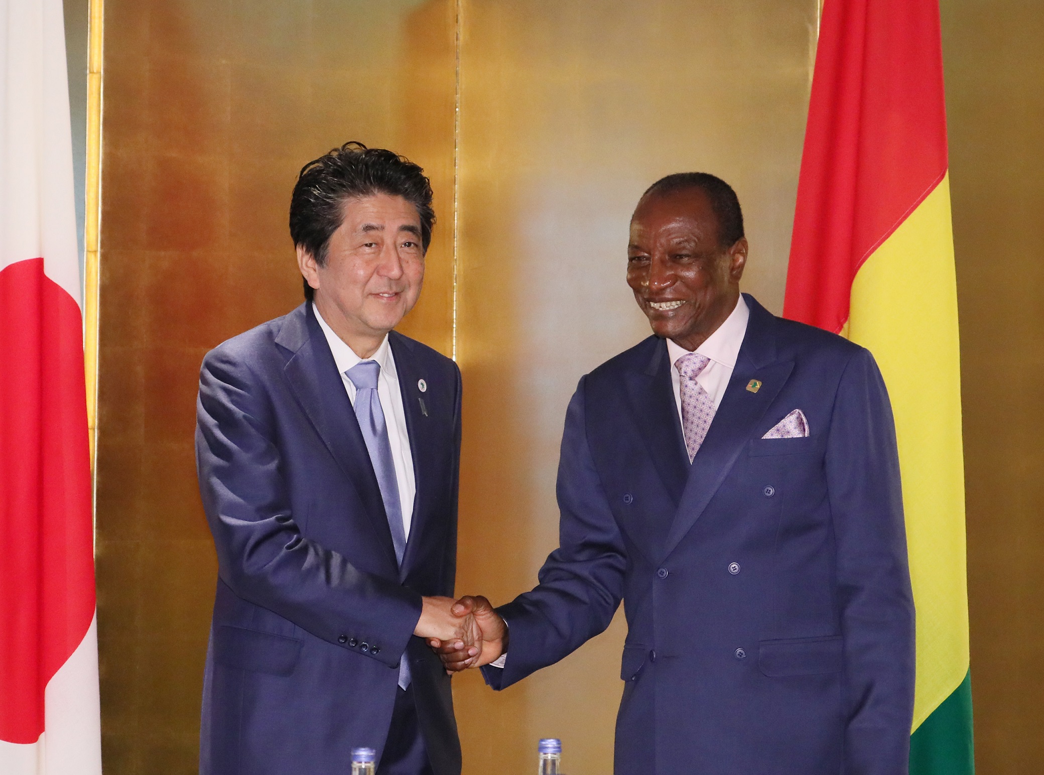 Photograph of the Japan-Guinea Summit Meeting