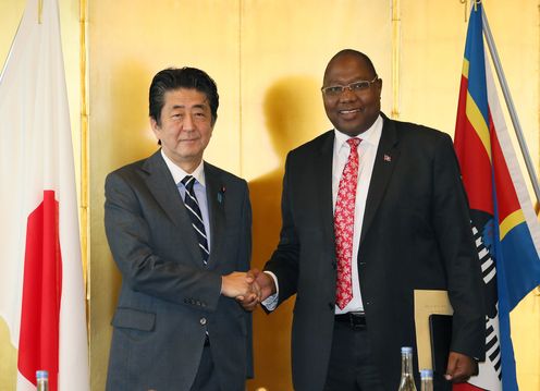 Photograph of the Japan-Eswatini Summit Meeting