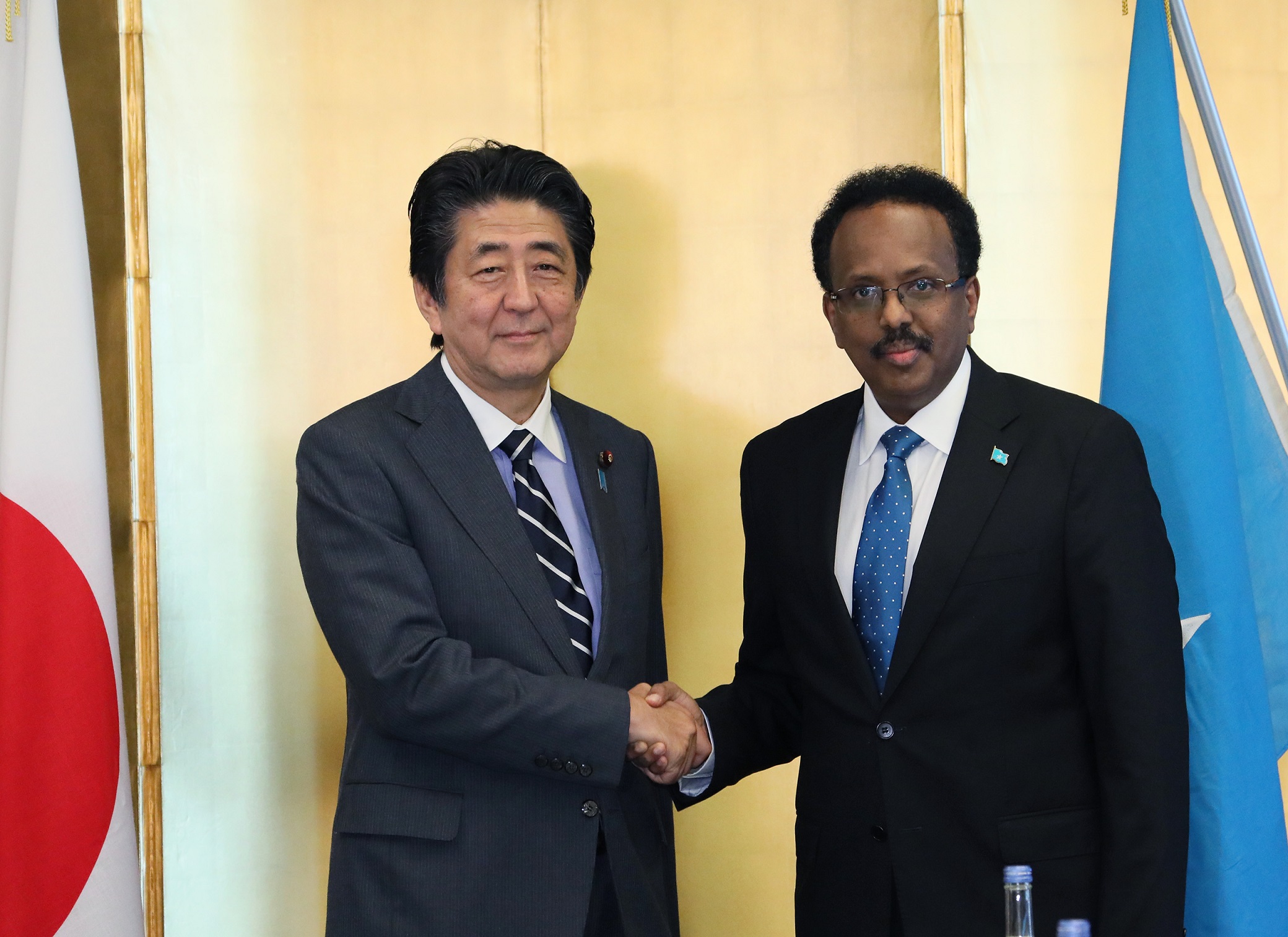Photograph of the Japan-Somalia Summit Meeting