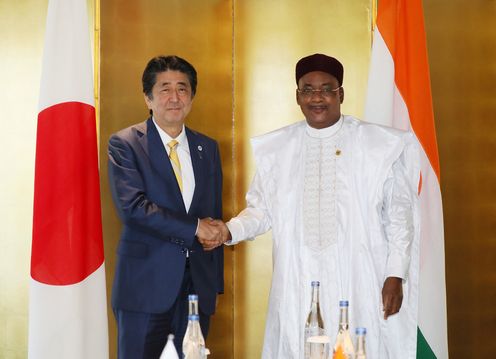 Photograph of the Japan-Niger Summit Meeting