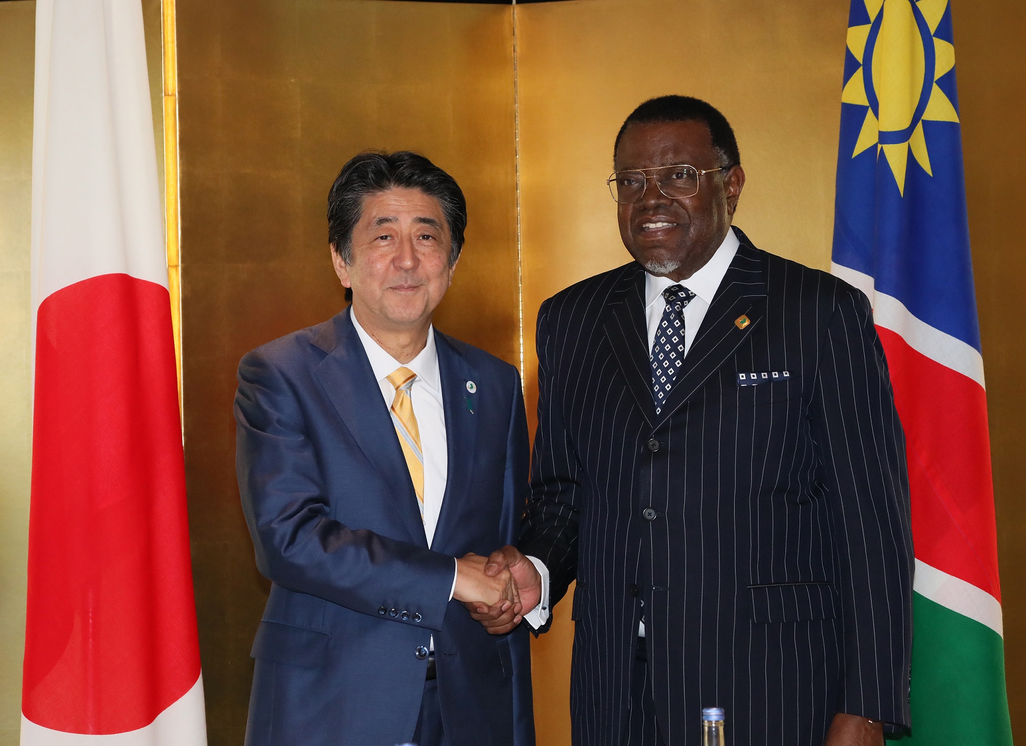 Photograph of the Japan-Namibia Summit Meeting