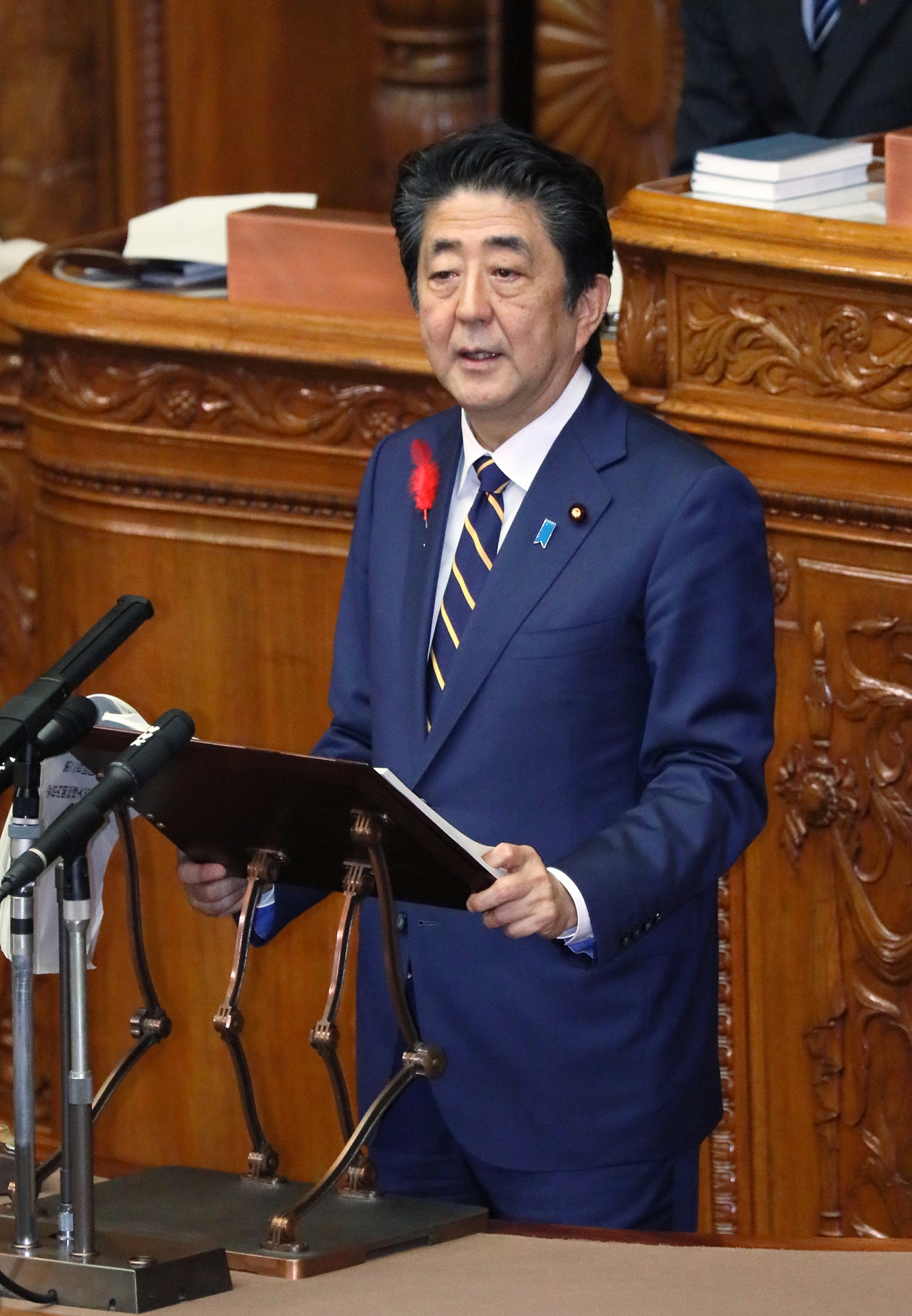 Photograph of the Prime Minister delivering a policy speech during the plenary session of the House of Councillors (3)