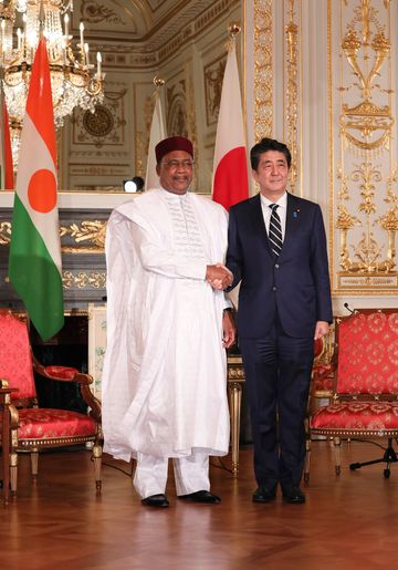 Photograph of the Japan-Niger Summit Meeting (2)