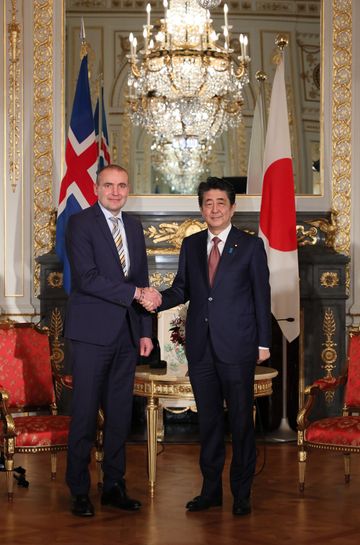 Photograph of the meeting with the President of the Republic of Iceland (2)