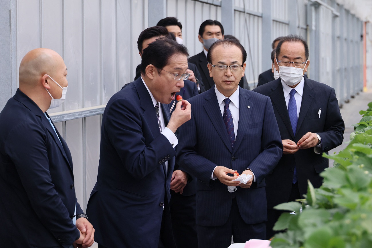 Photograph of the Prime Minister visiting a strawberry farm (2)