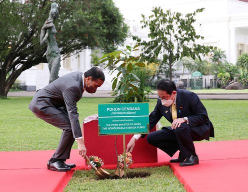 Photograph of a tree planting ceremony