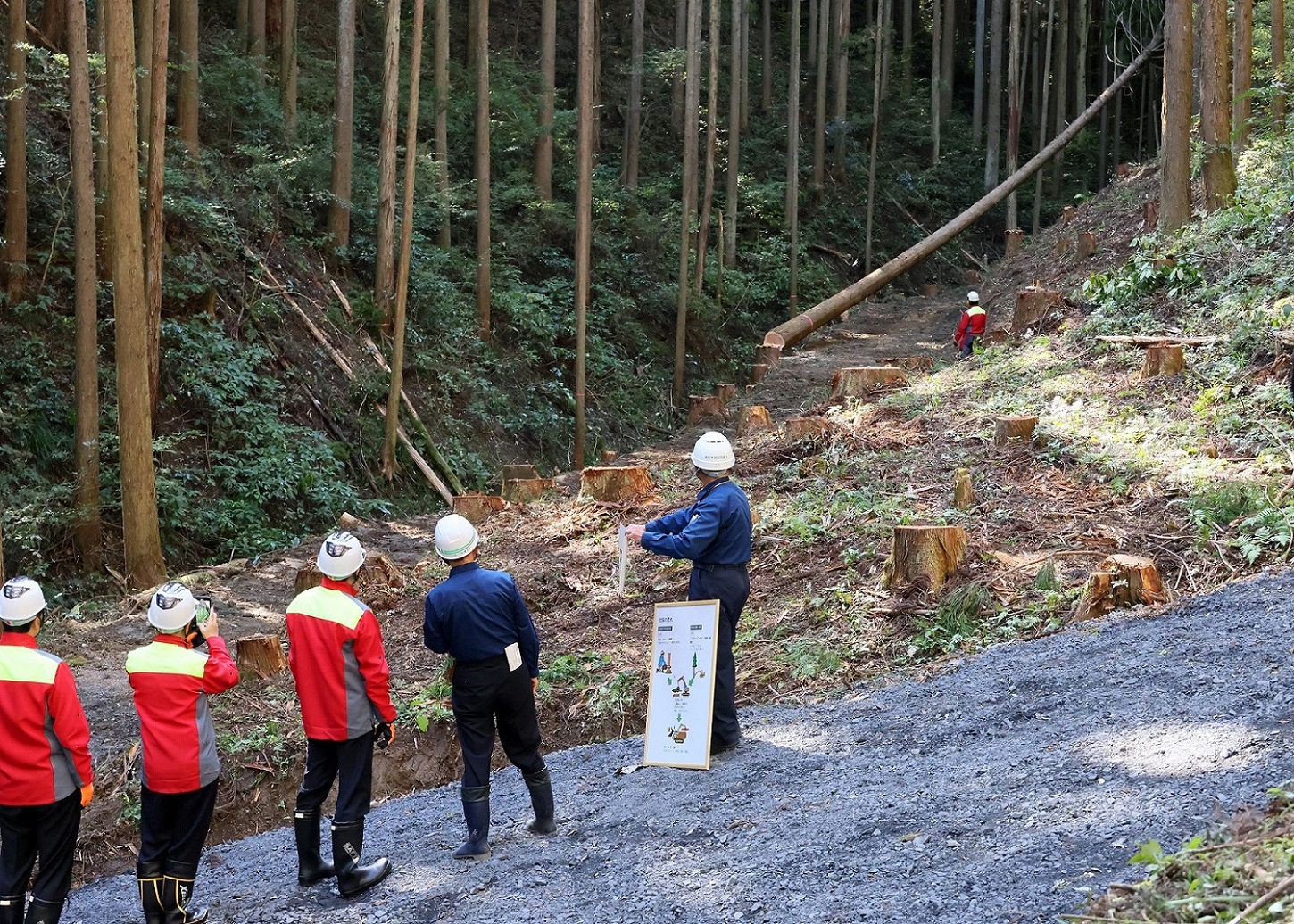 Prime Minister Kishida visiting a logging and afforestation site (1)