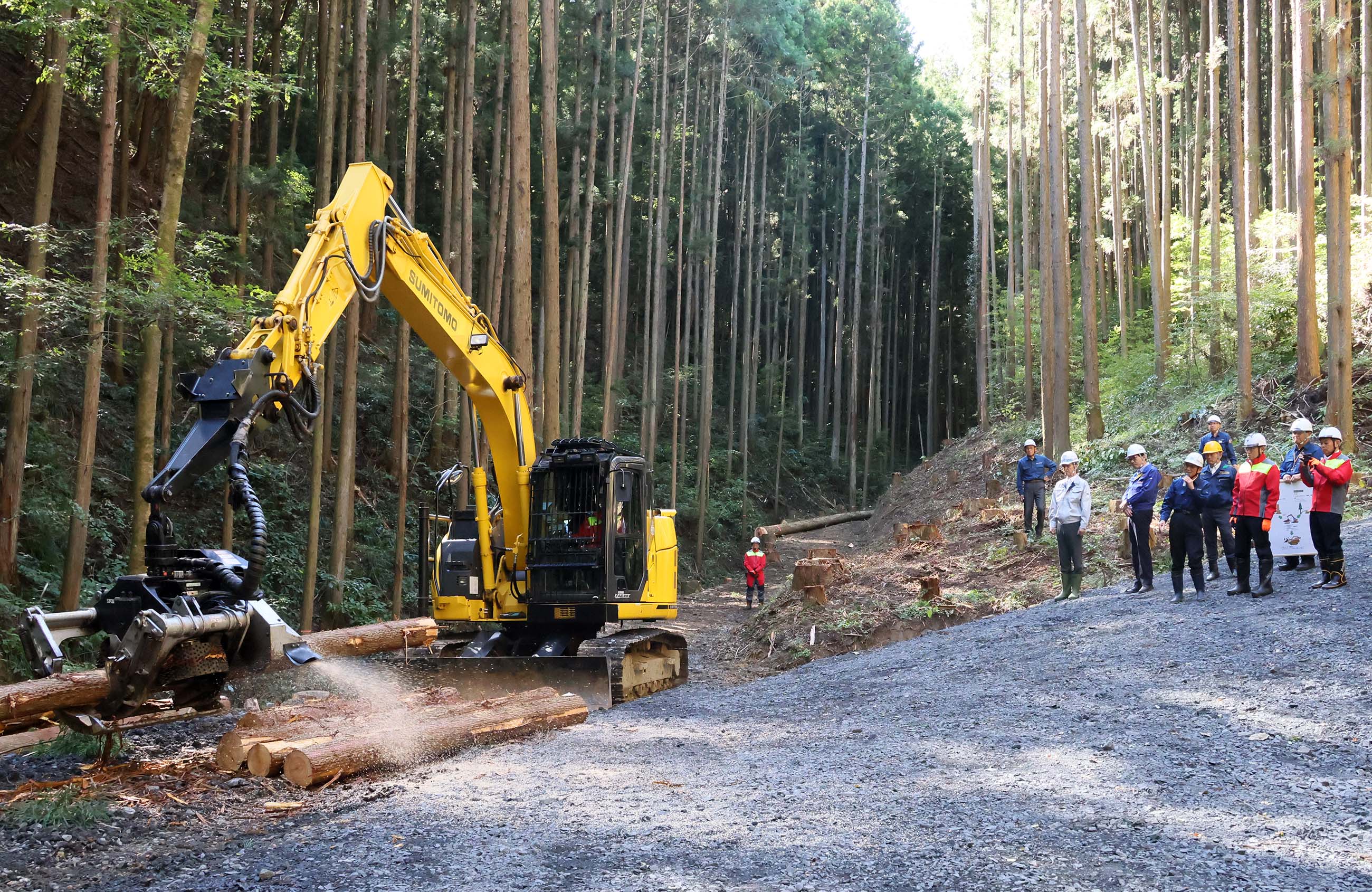 Prime Minister Kishida visiting a logging and afforestation site (2)