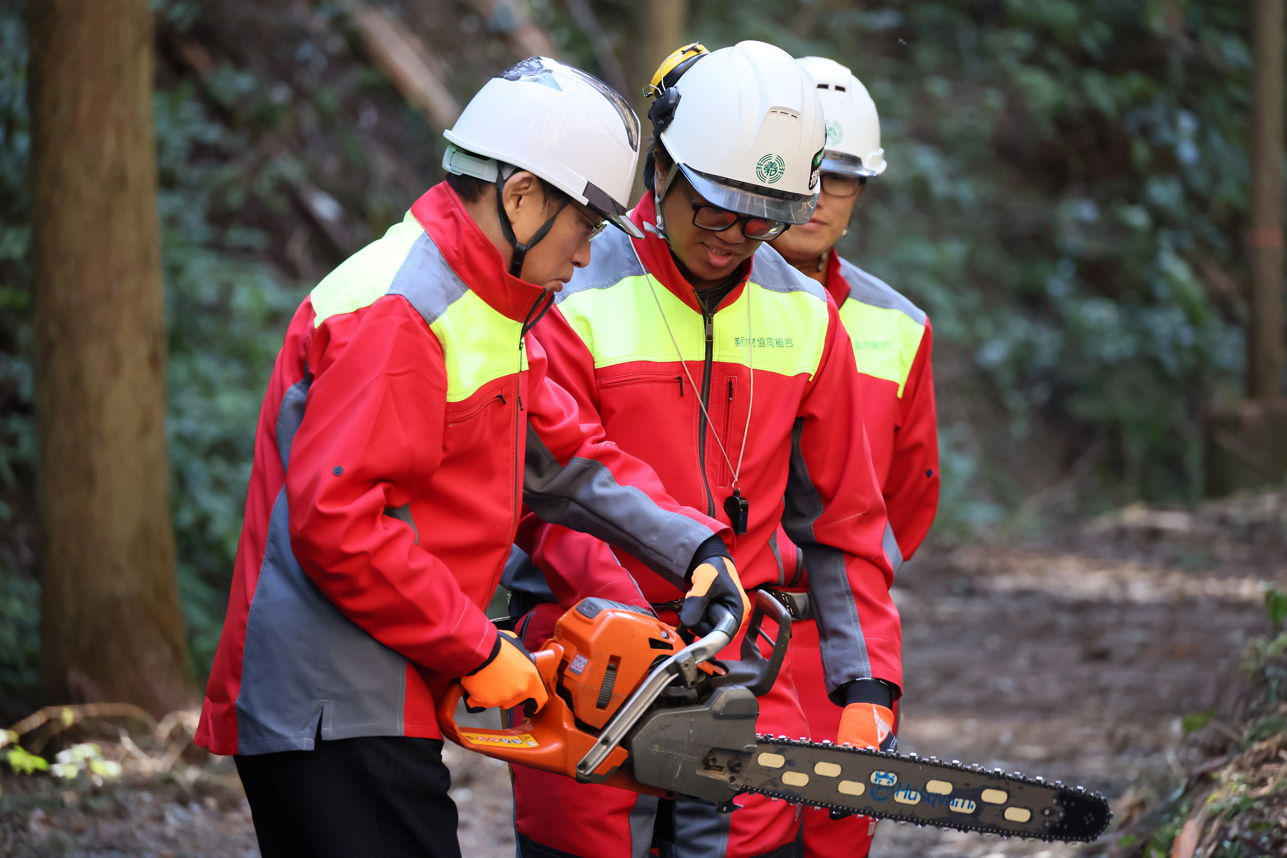 Prime Minister Kishida visiting a logging and afforestation site (4)