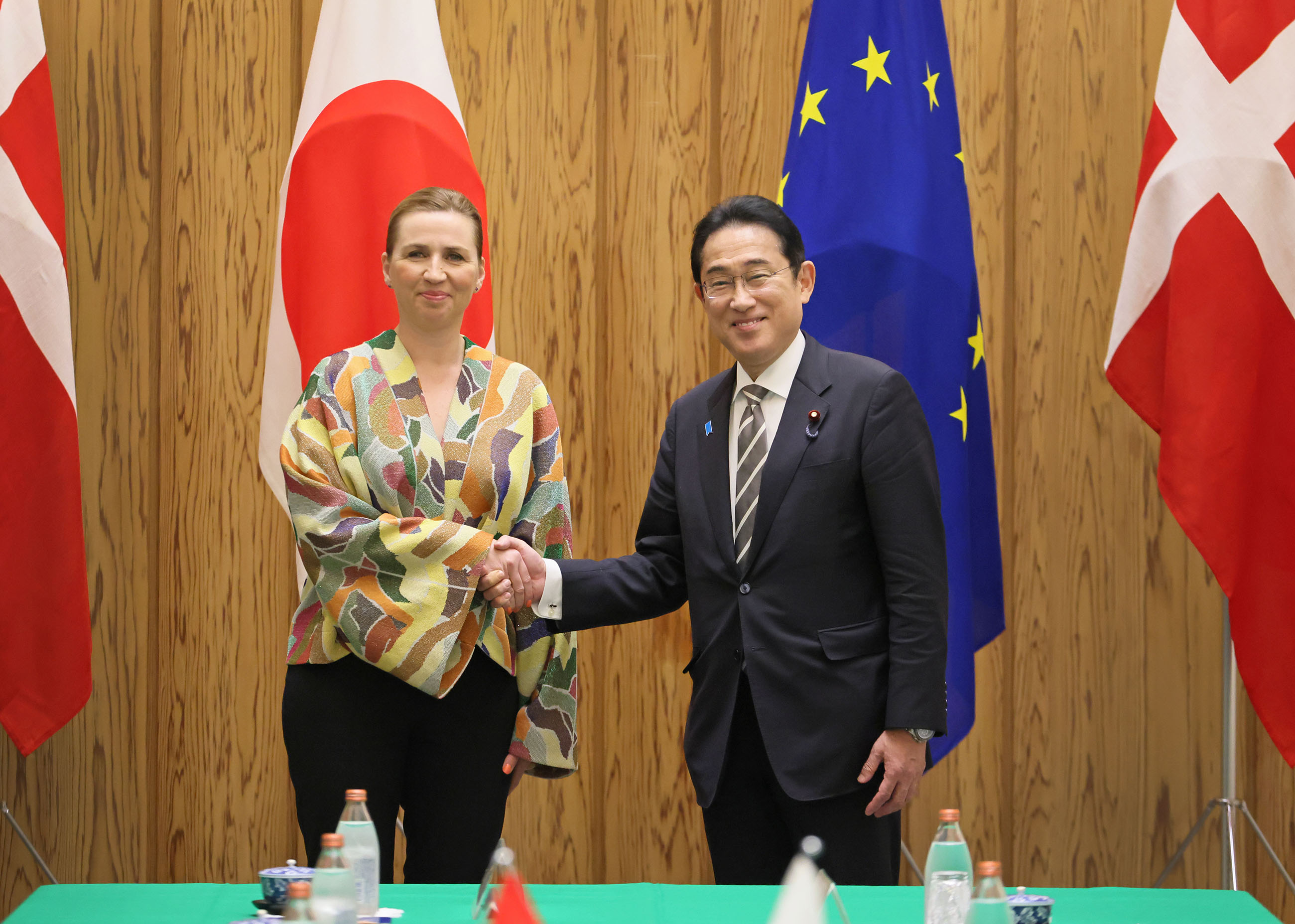 Japan-Denmark Summit Meeting (2)