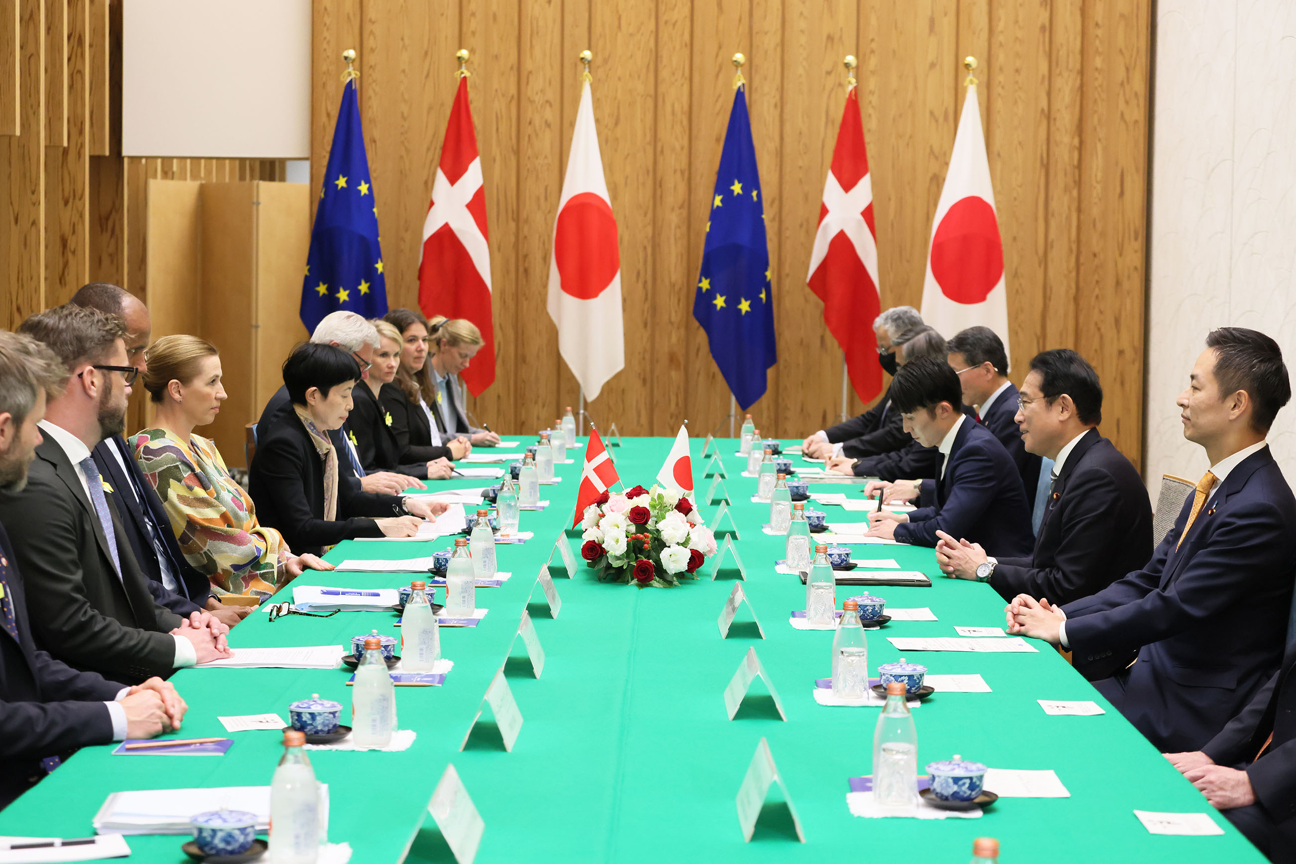 Japan-Denmark Summit Meeting (4)
