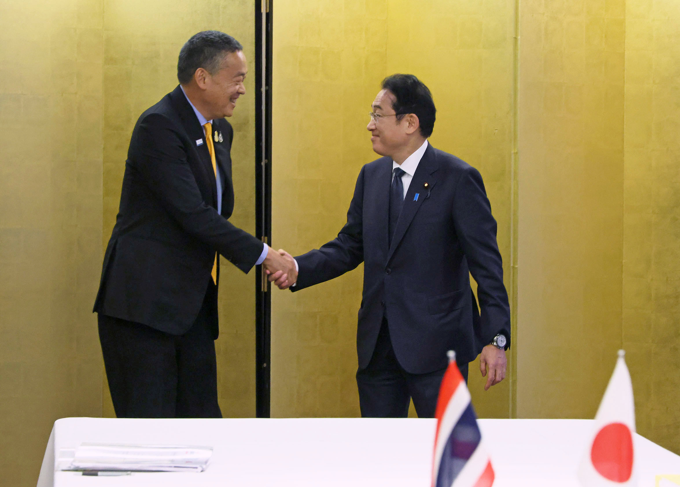 Japan-Thailand Summit Meeting (2)