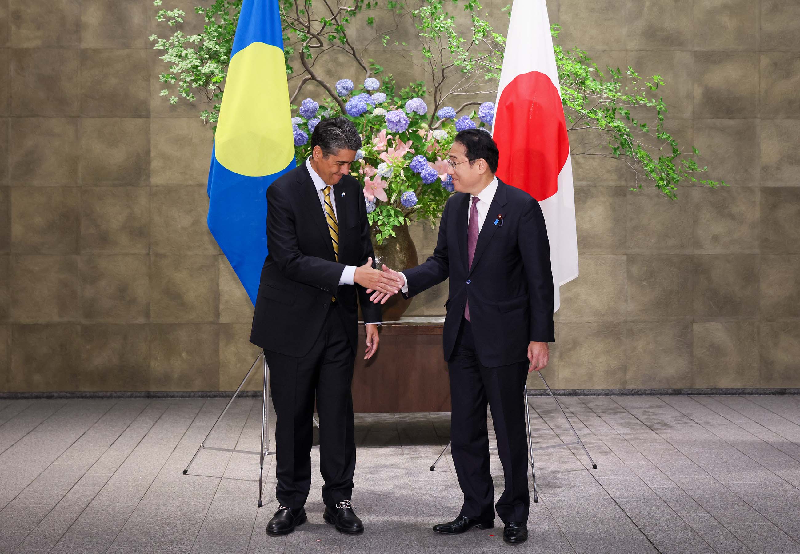Japan-Palau Summit Meeting (2)