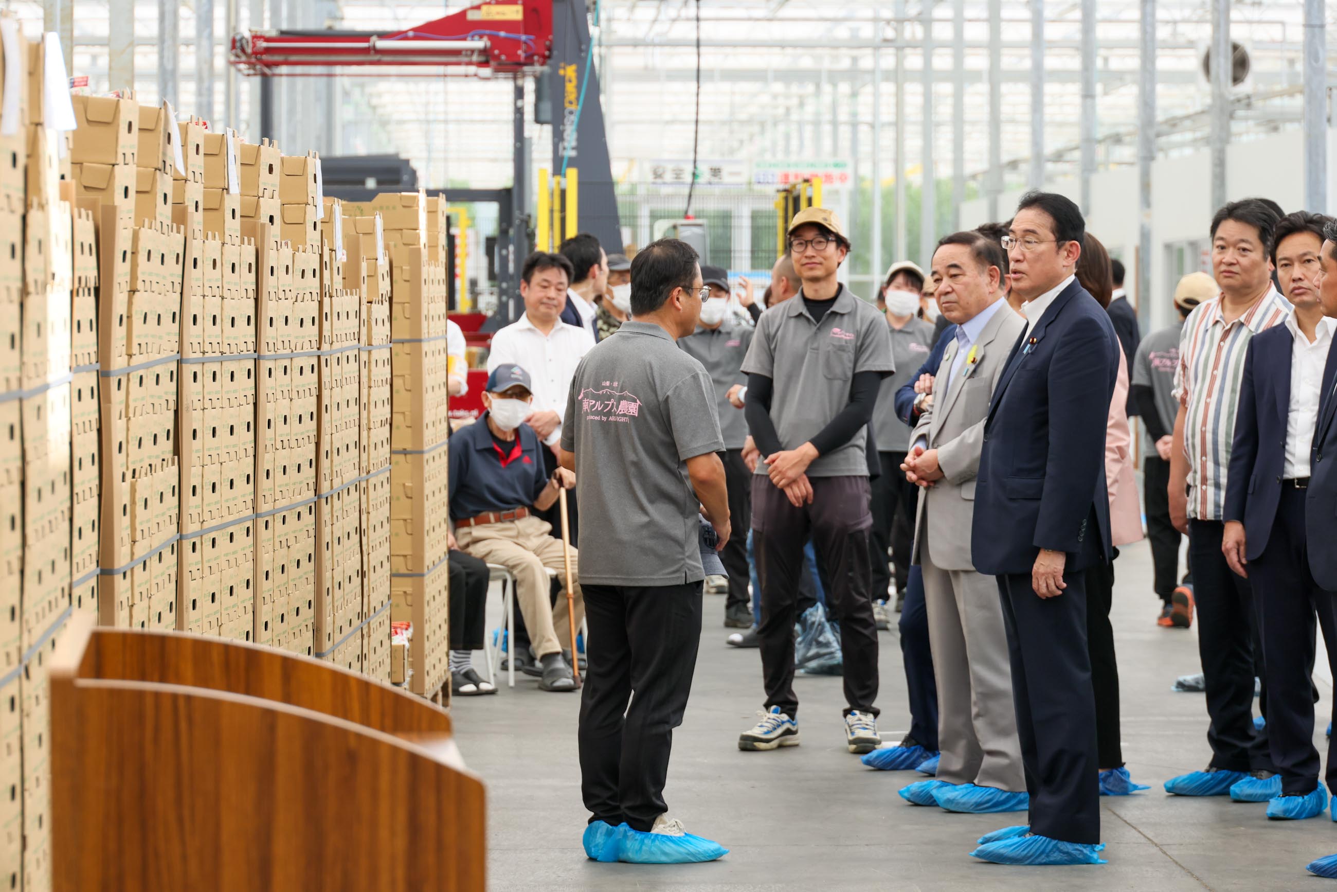 Prime Minister Kishida visiting a tomato growing company (4)