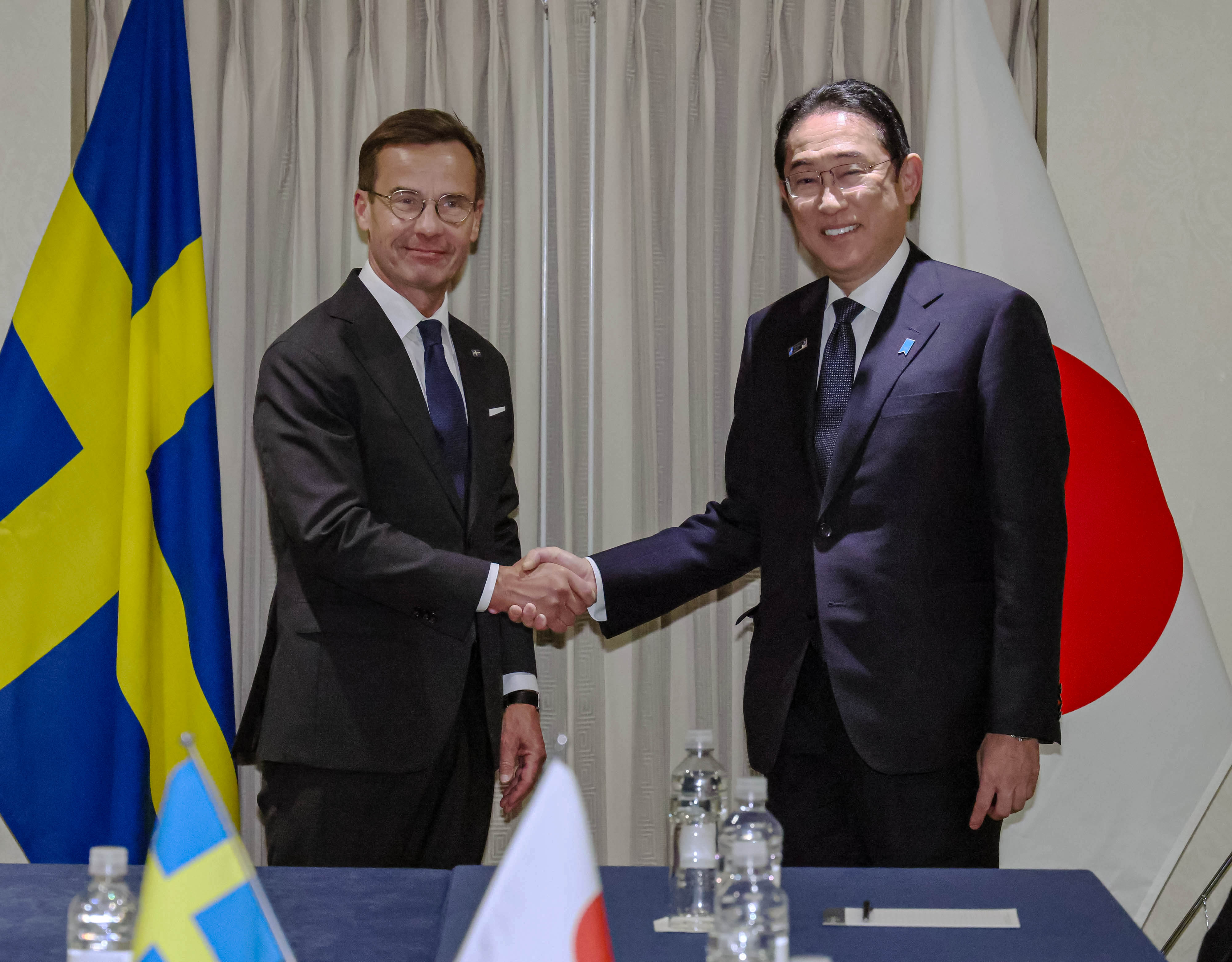 Japan-Sweden Summit Meeting (1)