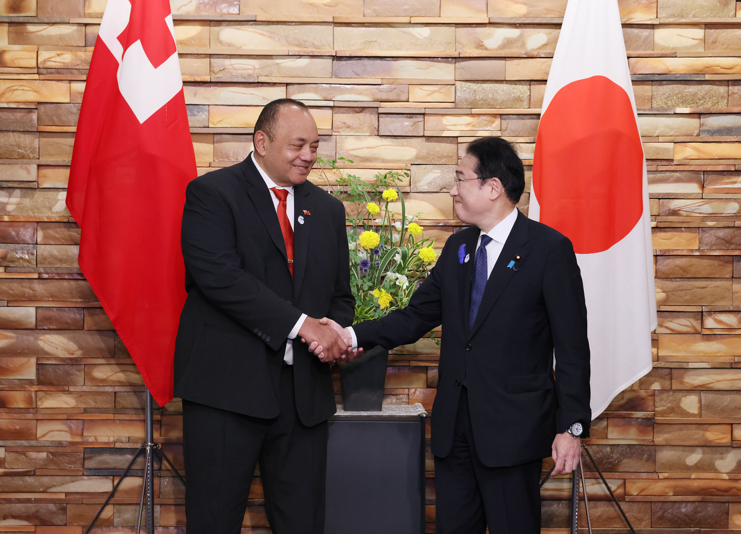 Japan-Tonga Summit Meeting (1)
