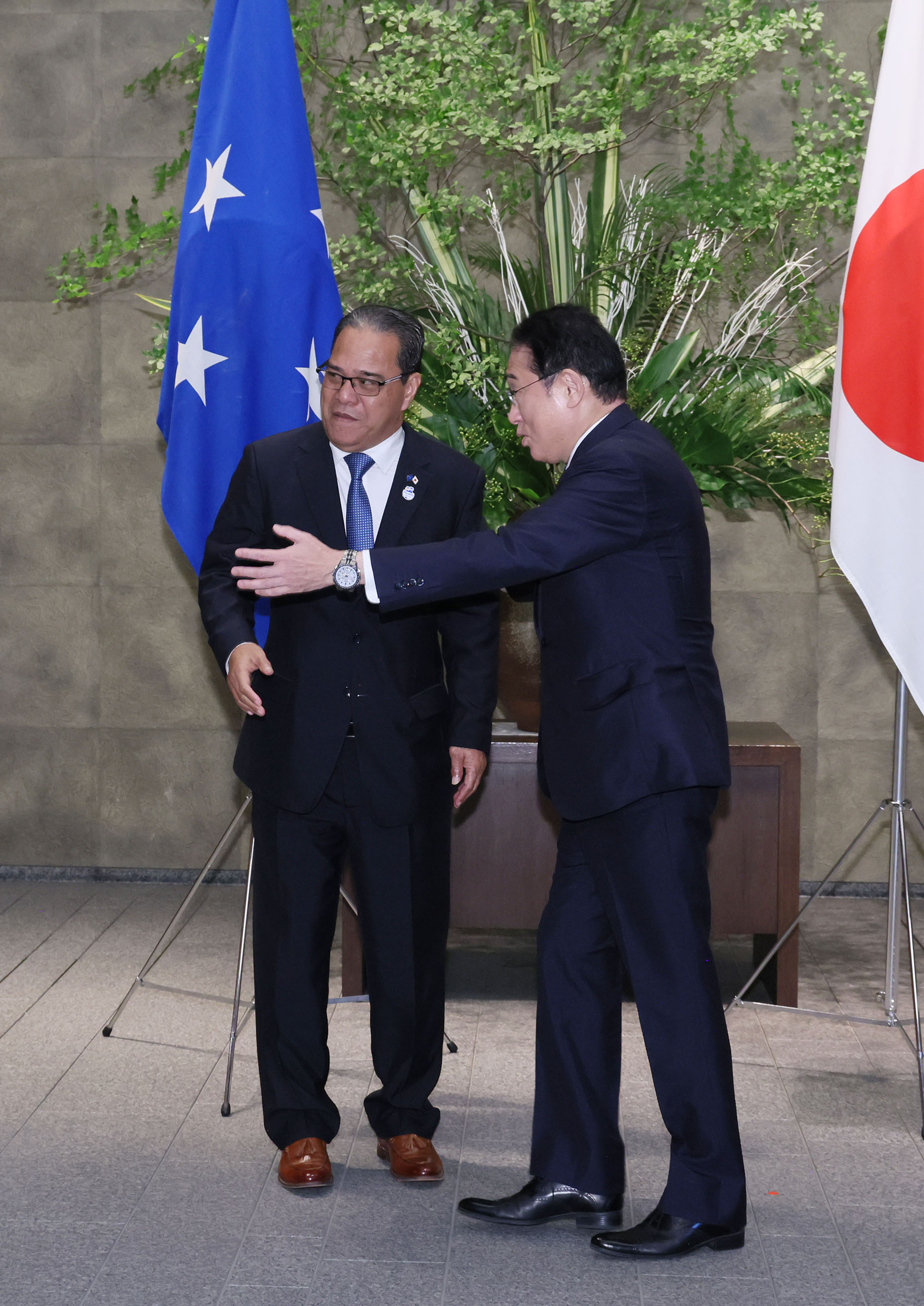 Japan – Federate States of Micronesia Summit Meeting (3)