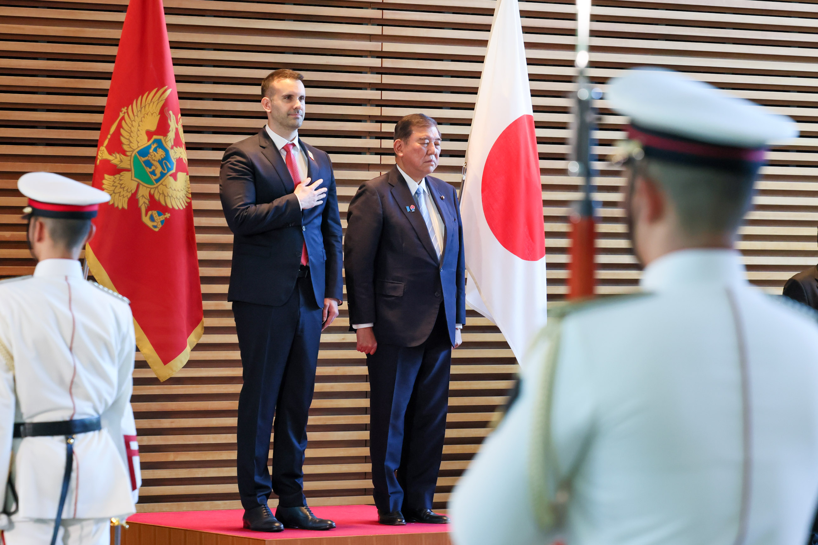 A salute and guard of honor ceremony (2)