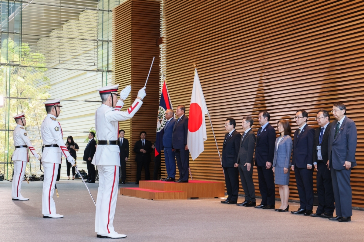 Salute and guard of honor ceremony (1)