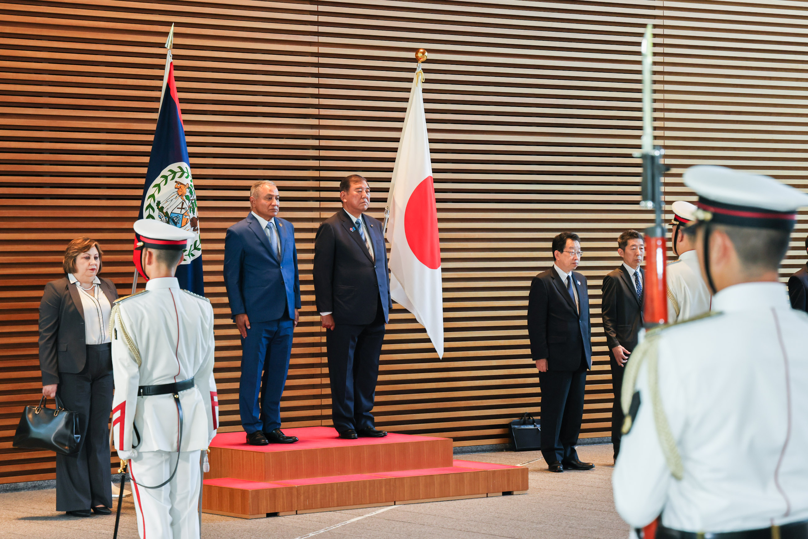 Salute and guard of honor ceremony (2)