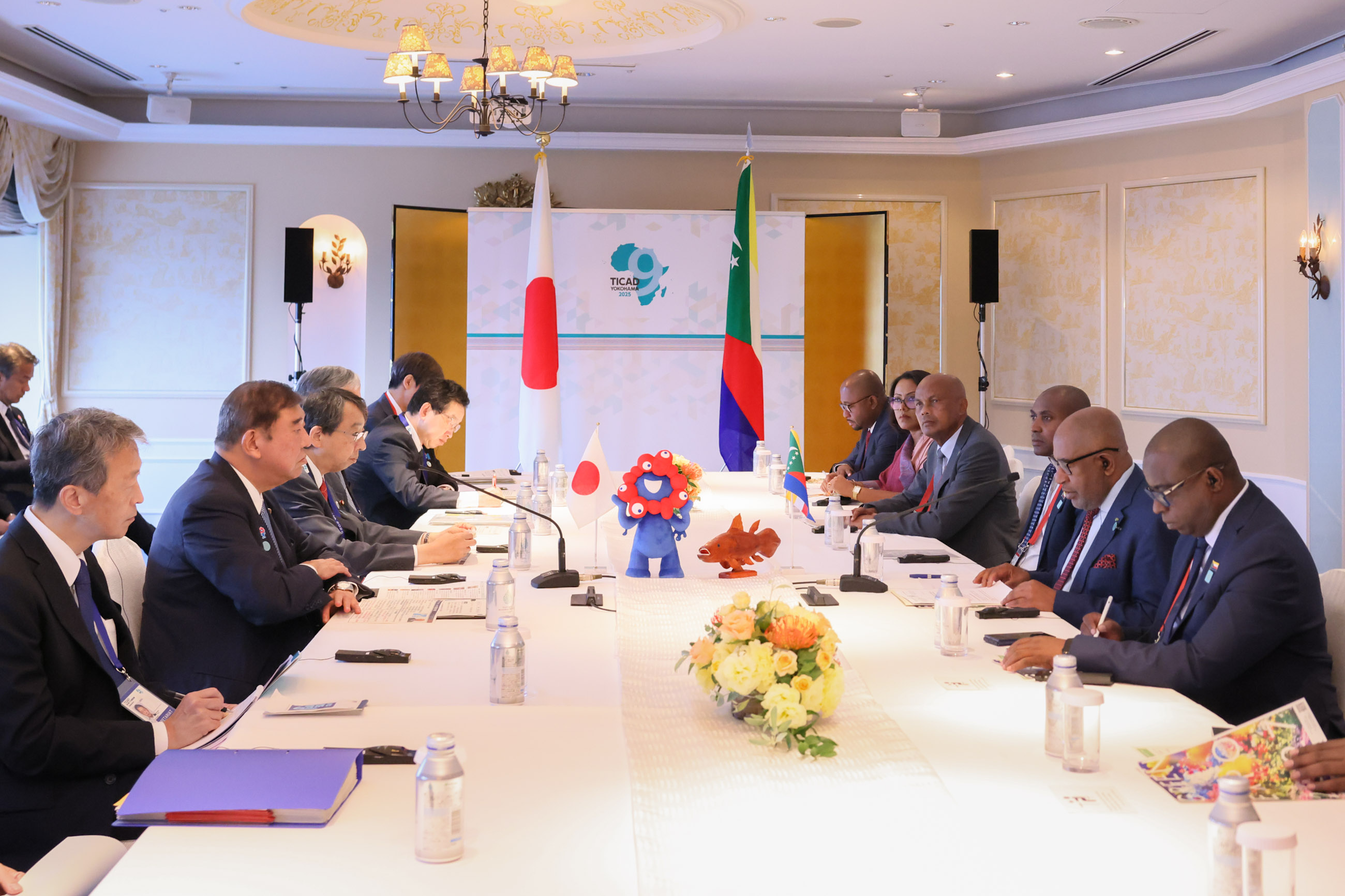 Japan-Comoros Summit Meeting (2)